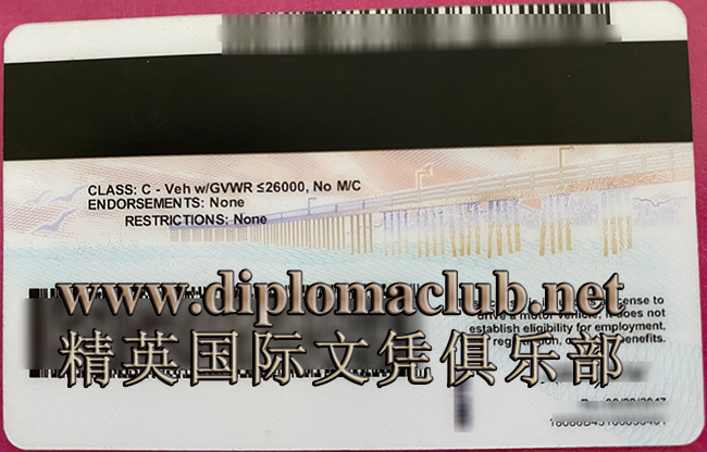 定制美国驾驶证