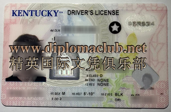 在线办理美国肯塔基州驾照，美国肯塔基州驾驶证多少钱能买到