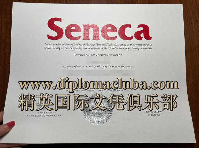 圣力嘉学院毕业证