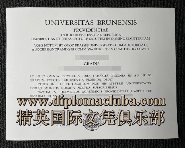 布朗大学文凭