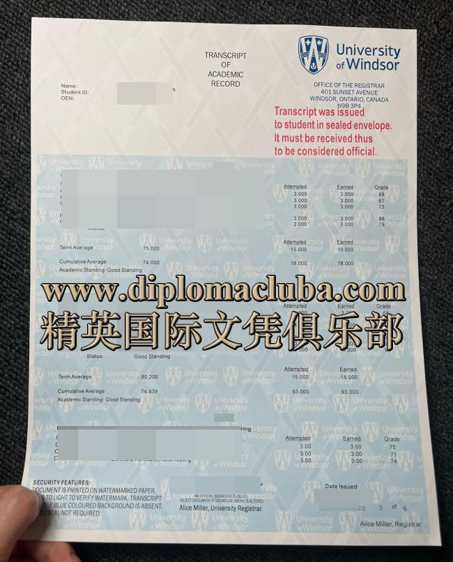 温莎大学成绩单