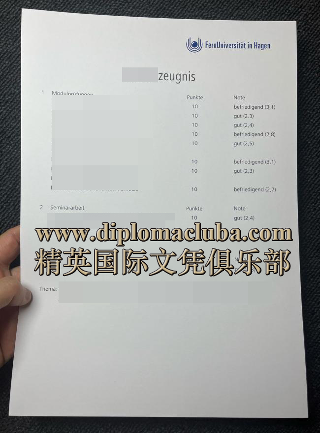 哈根远程大学成绩单-背面
