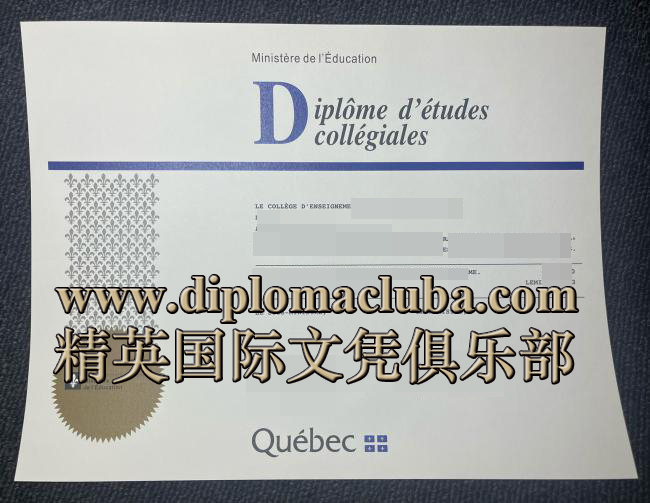 DEC文凭