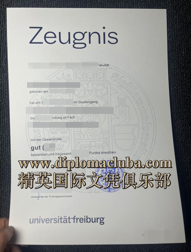 弗赖堡大学成绩单