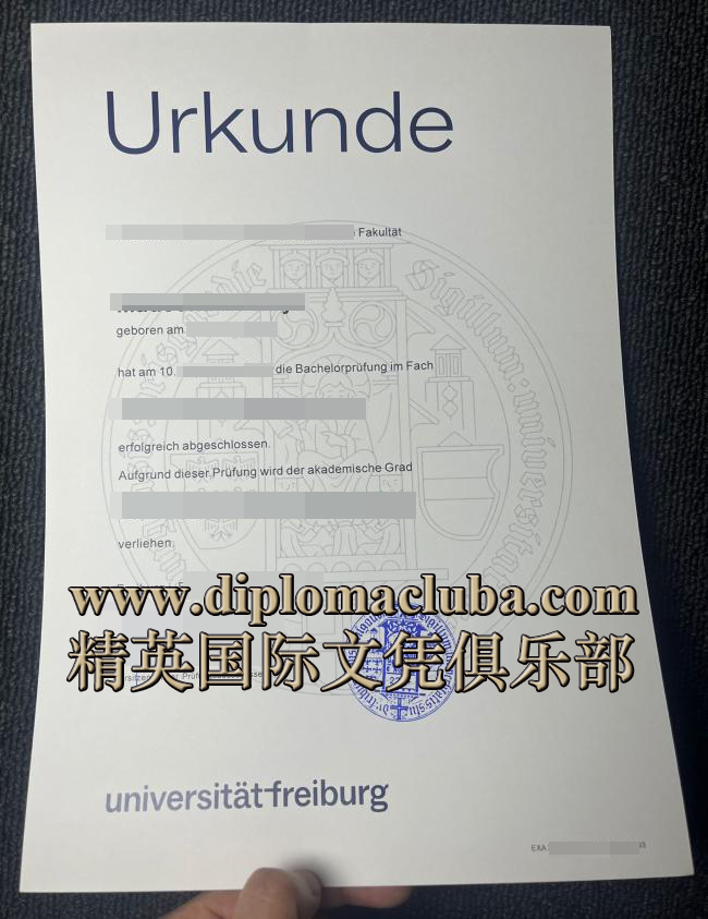 弗赖堡大学文凭