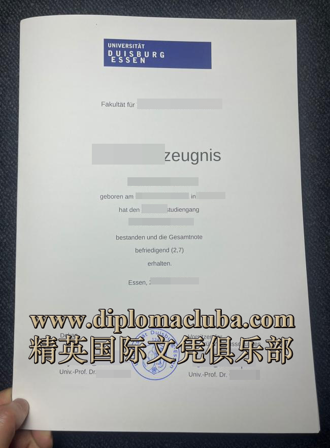 杜伊斯堡-埃森大学成绩单