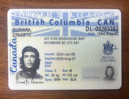 精仿不列颠哥伦比亚省驾照 | 复刻原版BC省驾驶证 | buy fake BC ID