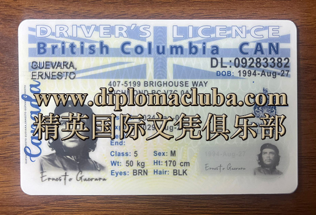 不列颠哥伦比亚省驾照