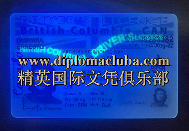 不列颠哥伦比亚省驾照正面-荧光