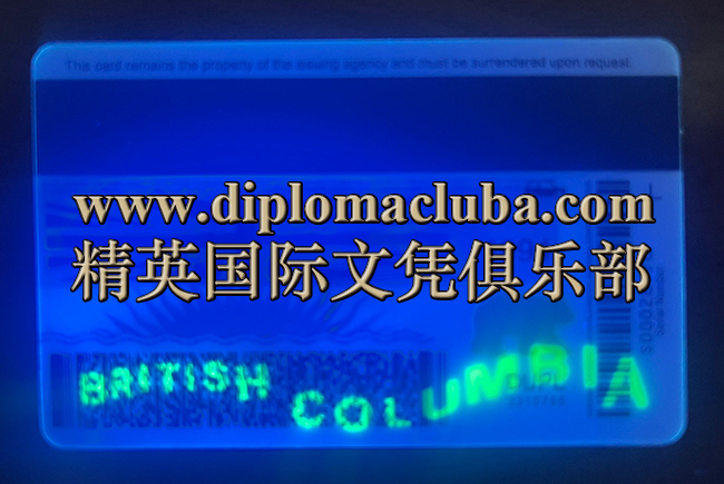 不列颠哥伦比亚省驾照背面-荧光