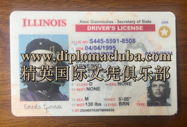 伊利诺伊州驾照