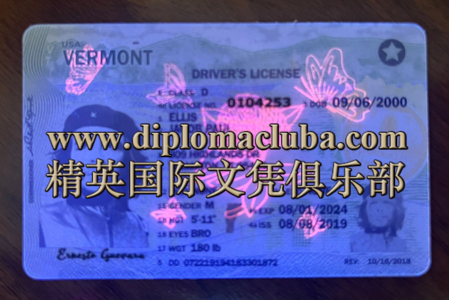 佛蒙特州驾照正面-荧光