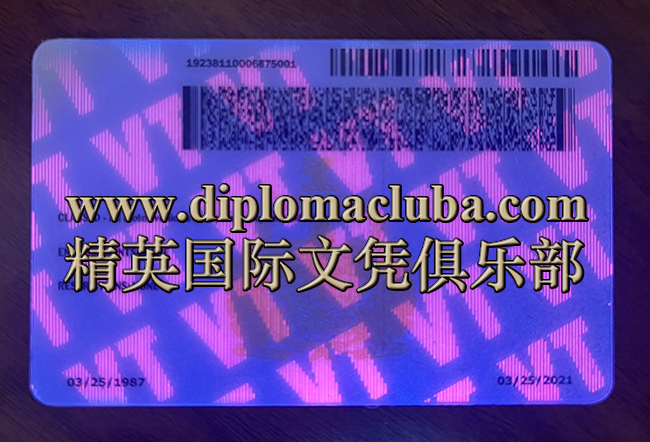 佛蒙特州驾照背面-荧光