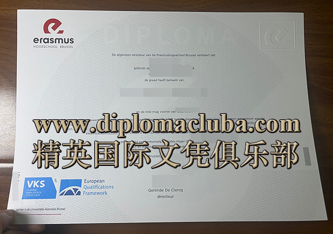 布鲁塞尔伊拉斯谟大学学院文凭