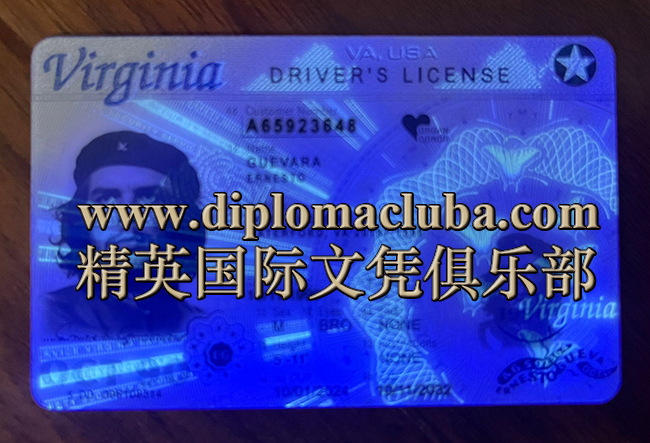 弗吉尼亚州驾照正面-荧光