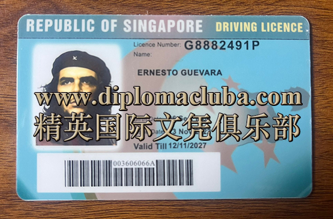 新加坡驾照