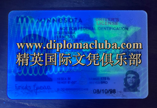 明尼苏达州驾照正面-荧光