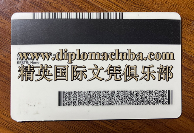 明尼苏达州驾照背面