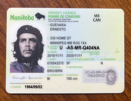 怎么办曼尼托巴省驾照? | 制作假曼尼托巴省驾驶证 | buy fake Manitoba ID
