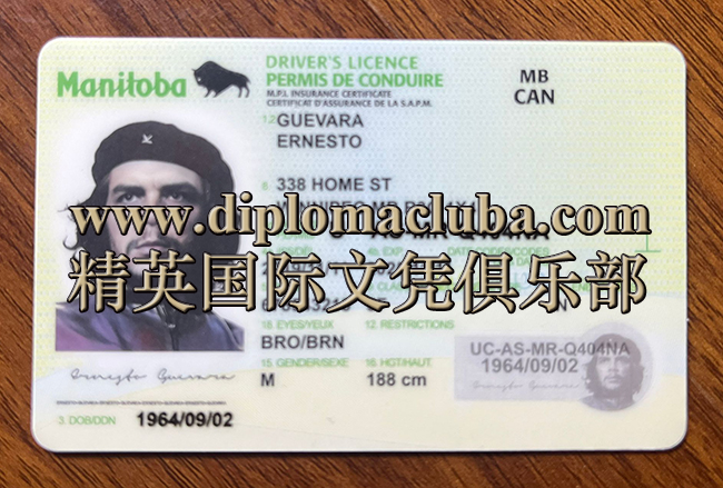 曼尼托巴省驾照