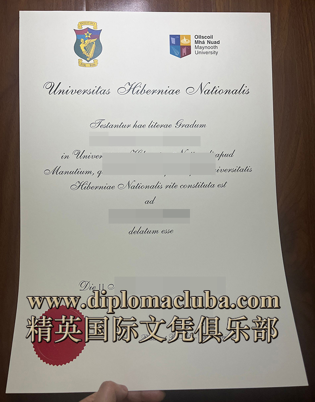 梅努斯大学文凭
