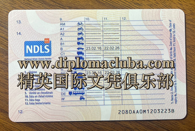 爱尔兰驾照背面