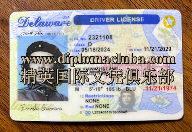 特拉华州驾照