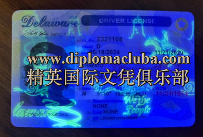 特拉华州驾照正面-荧光