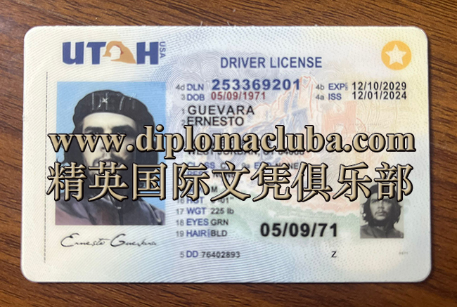 犹他州驾照