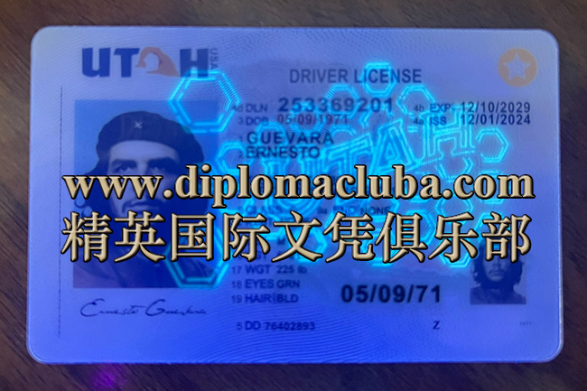 犹他州驾照正面-荧光