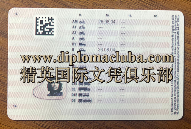 瑞典驾照背面