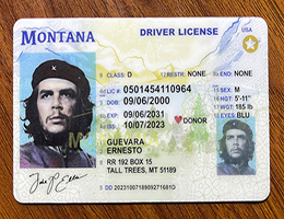 精仿美国蒙大拿州驾照 | buy fake Montana ID | 办理蒙大拿州驾驶证多少钱?