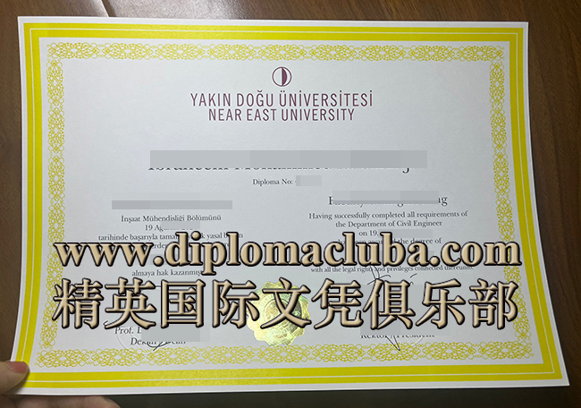 近东大学文凭
