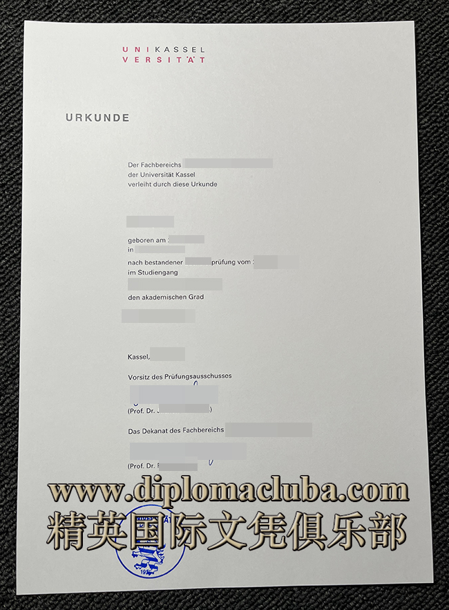 卡塞尔大学文凭