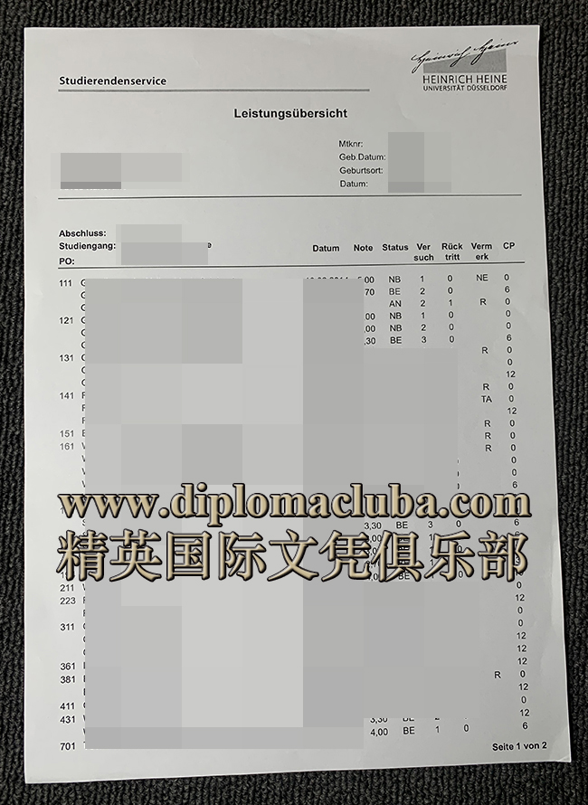 杜塞尔多夫海因里希海涅大学成绩单