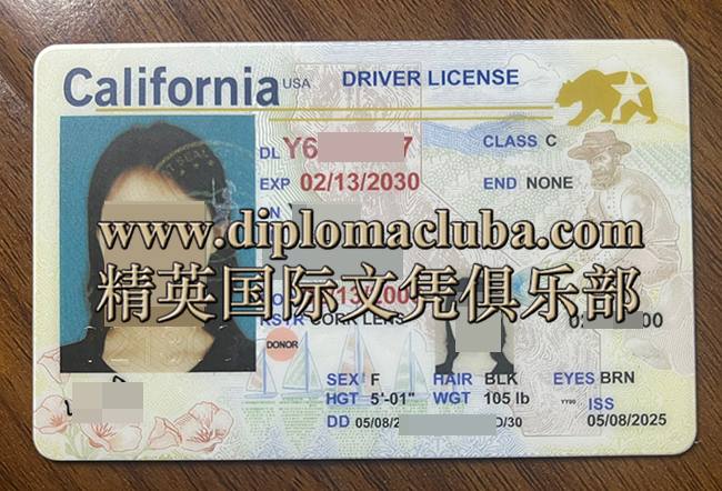 横版加州驾照