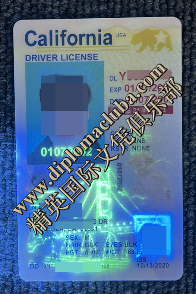 竖版加州驾照