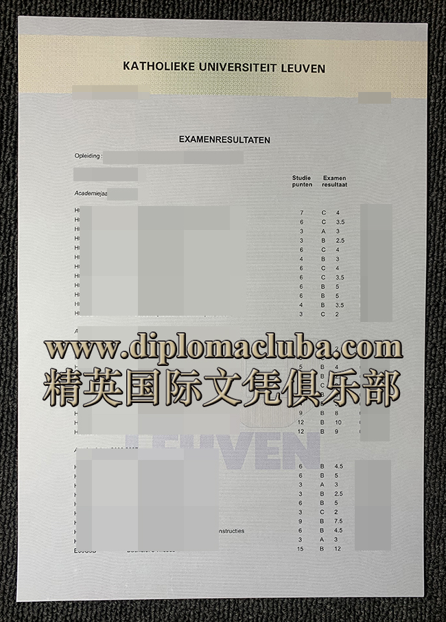 鲁汶大学成绩单