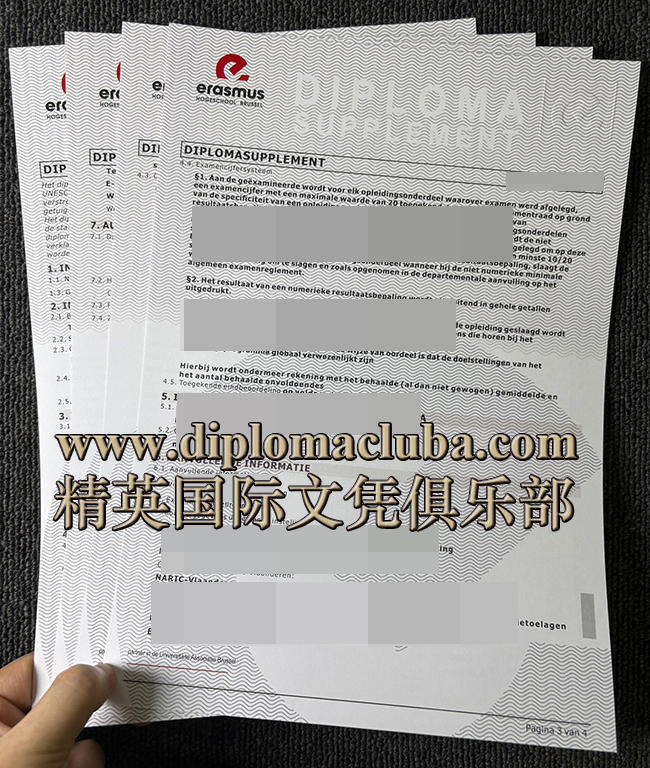 布鲁塞尔伊拉斯谟大学学院成绩单
