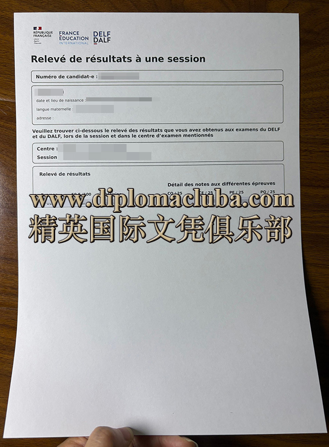 DALF B1成绩单