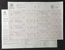 补办卡尔加里大学成绩单 | 订购UCalgary成绩单 | 一比一高仿卡尔加里大学成绩单