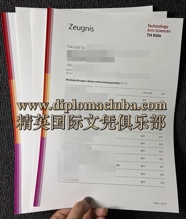 科隆工业大学成绩单