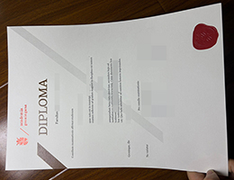 订购格罗宁根大学文凭 | 高仿Groningen大学毕业证书 | 如何仿制格罗宁根大学学位证?