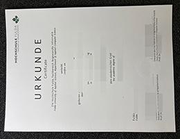 一比一制作富尔达应用技术大学毕业证 | 购买德国Hochschule Fulda本科文凭