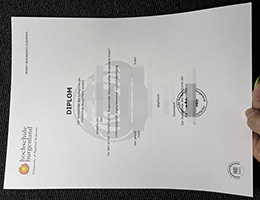 一比一高仿布尔根兰应用科学大学文凭 | 如何购买Hochschule Burgenland毕业证书?