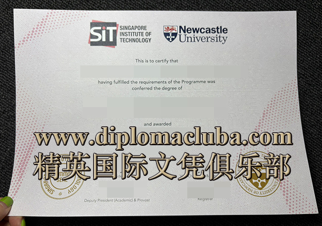 新加坡理工大学毕业证