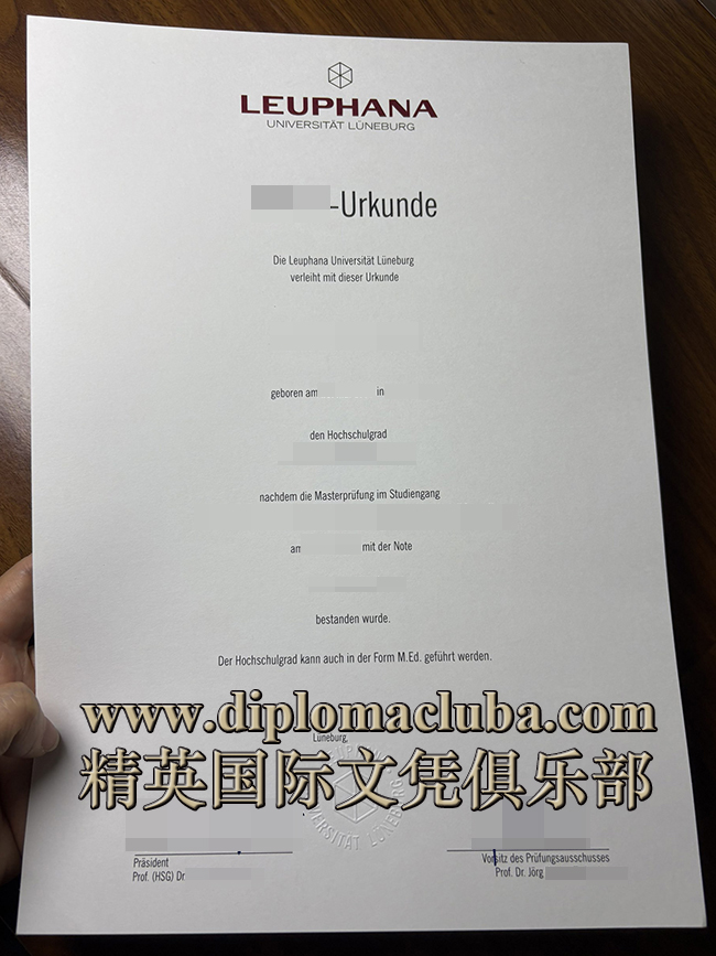 吕讷堡大学文凭