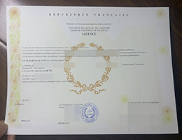 怎么制作图卢兹第三大学文凭? | 精仿Université Toulouse-III-Paul-Sabatier毕业证