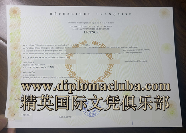 图卢兹第三大学文凭
