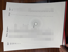 造假巴登-符腾堡州双元制大学成绩单 | 定制DHBW成绩单 | 如何高仿巴登-符腾堡州双元制大学成绩单?